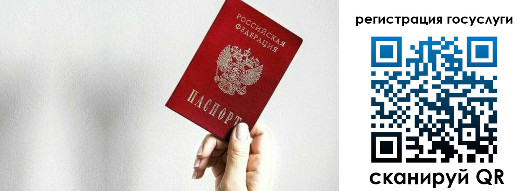прописка гарантия в Ставрополе
